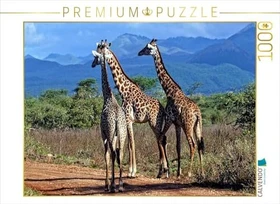 Calvendo Giraffen. Faszinierende Wildtiere Afrikas