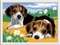 Ravensburger Malen nach Zahlen Jack Russel Welpen Vorschaubild
