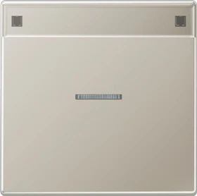 Jung Serie LS Wippe mit Lichtleiter und Schriftfeld 1fach, Edelstahl