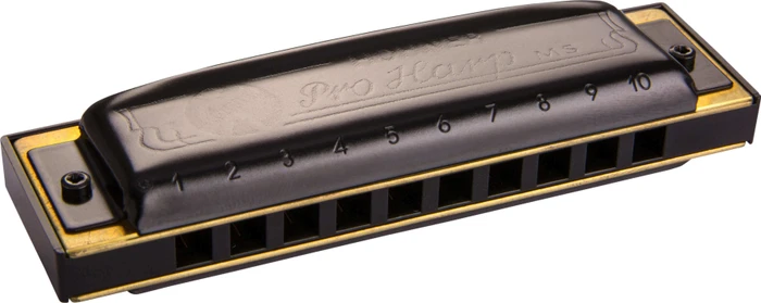 Hohner Pro Harp C