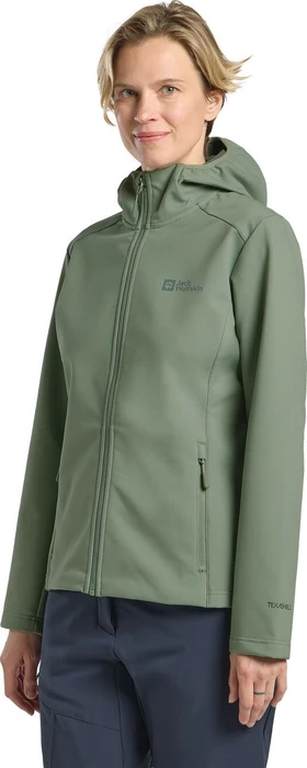 Jack Wolfskin Bornberg Hoody Funktionsjacke eucalyptus (Damen)