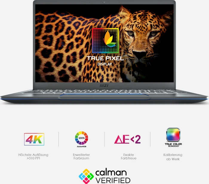 MSI Prestige 14 A11SCS-036DC, Carbon Gray, Core i7-1185G7, 16GB RAM, 1TB SSD, GeForce GTX 1650 Ti Max-Q, DE