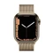 Apple Watch Series 7 (GPS + Cellular) 41mm Edelstahl gold mit Milanaise-Armband gold Vorschaubild