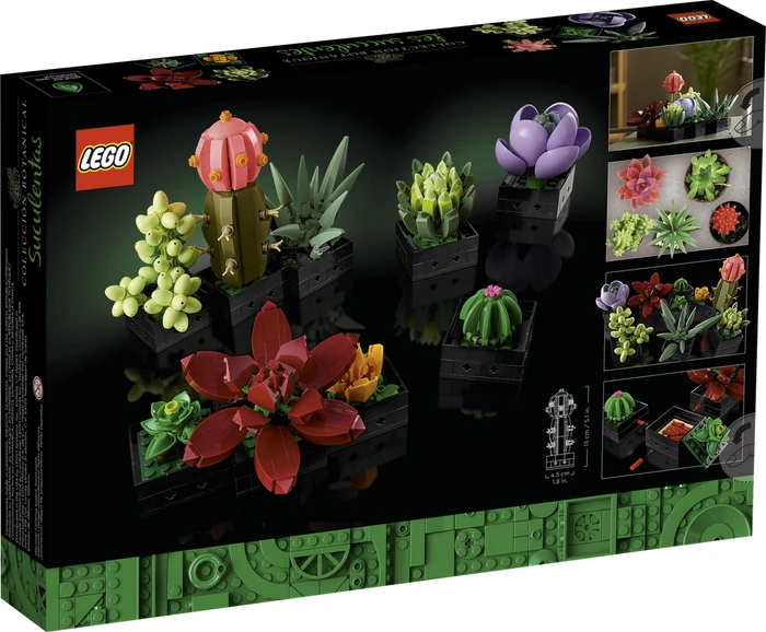 LEGO Botanicals - Sukkulenten