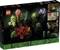 LEGO Botanicals - Sukkulenten Vorschaubild