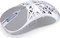 Endorfy LIV Wireless, Onyx White, USB/Bluetooth Vorschaubild