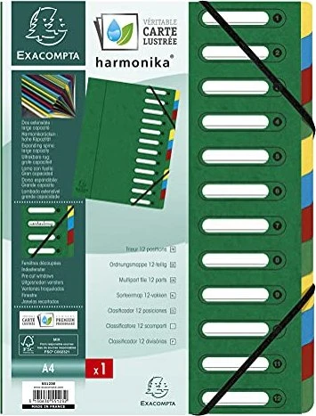 Exacompta Harmonika Ordnungsmappe mit ausgestanzten Fenstern, 12 Fächer, A4, grün