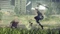 NieR: Automata (Download) (PC) Vorschaubild