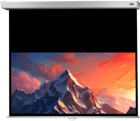 Celexon Rollo Professional Plus 280x175cm