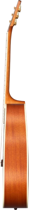 Gibson Hummingbird Faded Natural