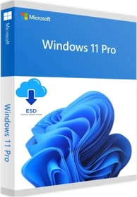 Microsoft Windows 11 Pro 64Bit, DSP/SB, ESD (multilingual) (PC)