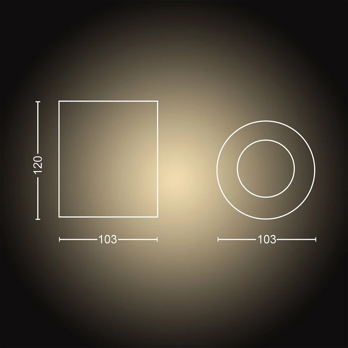 Philips Hue White Ambiance Pillar Spot Erweiterung 1-flammig schwarz