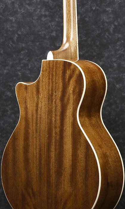Ibanez AE245 NT Natural High Gloss
