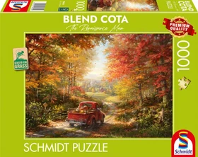 Schmidt Spiele Blend Cota Zurück nach Hause