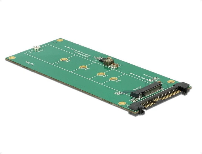 DeLOCK U.2 2.5" -> M.2 PCIe