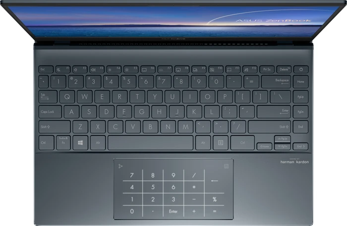 ASUS ZenBook 13 OLED UX325EA-EG022T, Pine Grey, Core i5-1135G7, 8GB RAM, 512GB SSD, DE