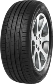 Minerva F209 205/55 R15 88V