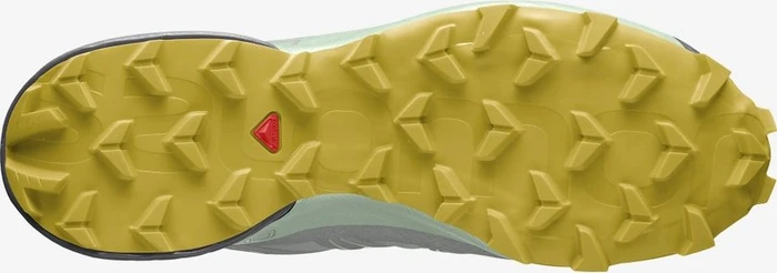 Salomon Speedcross 5 GTX wrought iron/spray/antique moss (Damen)