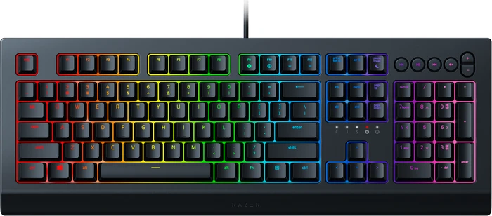 Razer Cynosa V2, USB, IT