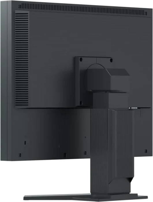 Eizo FlexScan S2133, schwarz, 21.3"