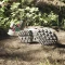 adidas Terrex Hydroterra sesame/core black/real magenta Vorschaubild