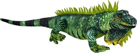 Coppenrath Nature Zoom Wild - Grüner Leguan 88cm