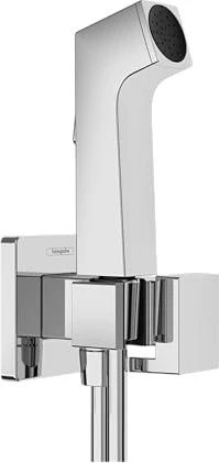 Hansgrohe Bidette Bidetbrause, Metall chrom