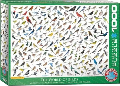 Eurographics The World of Birds