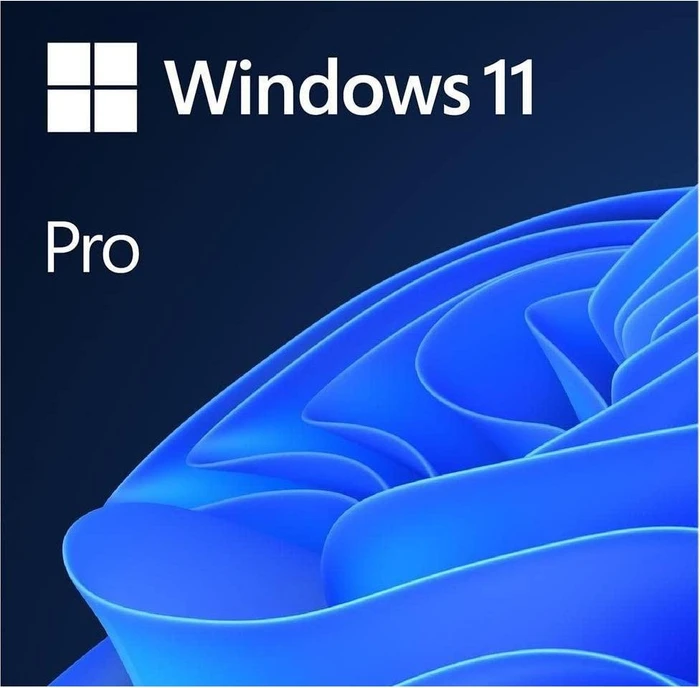 Microsoft Windows 11 Pro 64Bit, DSP/SB (italienisch) (PC)