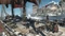 Assassin's Creed: Rogue - Remastered (Xbox One/SX) Vorschaubild