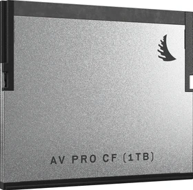 Angelbird AV PRO R550/W490 1TB