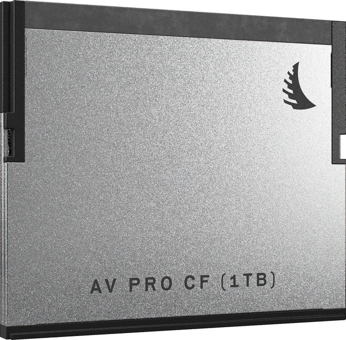 Angelbird AV PRO R550/W490 1TB