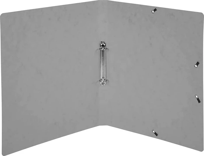 Exacompta Ringbuch 2-Ring, 20mm, A4, grau