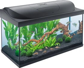 Tetra Starter Line LED 105l Aquarium, schwarz