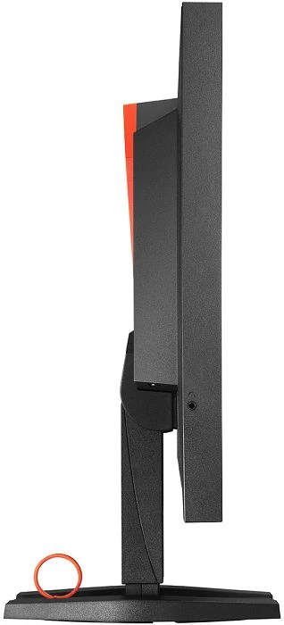 Eizo Foris FG2421, schwarz, 23.5"