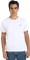 Calvin Klein Baumwoll 2er-Pack T-Shirt kurzarm (Herren) Vorschaubild