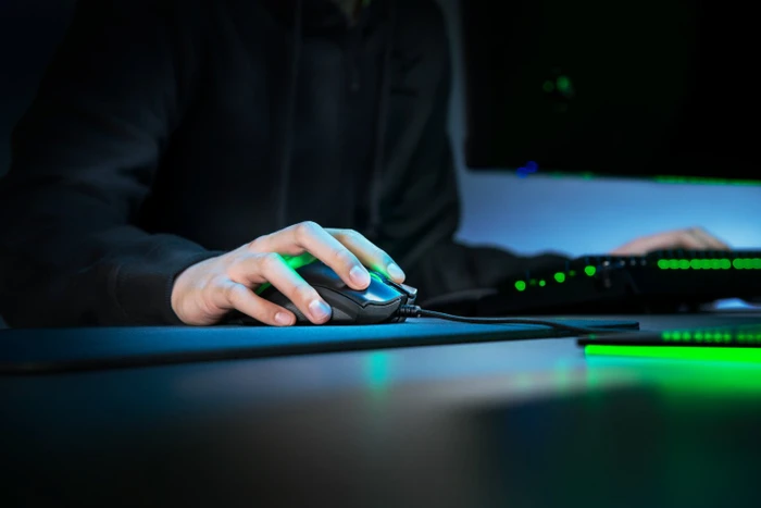 Razer DeathAdder V2, USB