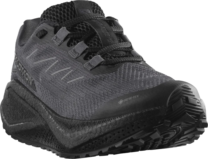 Salomon Aero Glide 3 GRVL GTX black/asphalt (Damen)