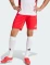 adidas Tiro 25 Pro Training Trainingshose kurz pure ruby (Herren) Vorschaubild