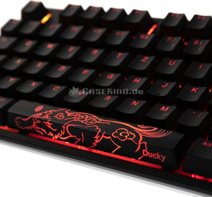 Ducky One 2 RGB TKL PBT, LEDs RGB, schwarz, MX RGB BROWN, USB, DE