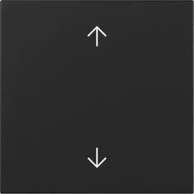 Gira Wippe mit Bedruckung Pfeilsymbole schwarz matt