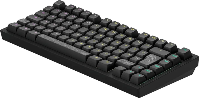 Dark Project ALU81A Terra Nostra Gaming Keyboard, schwarz, LEDs RGB, g3ms Moonstone, USB, DE
