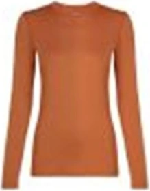 Icebreaker Merino 200 Oasis Crewe Funktionsshirt langarm clay (Damen)