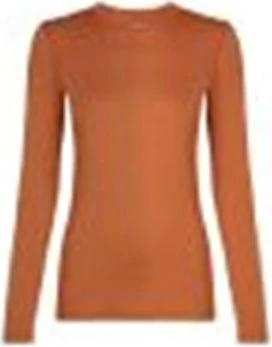 Icebreaker Merino 200 Oasis Crewe Funktionsshirt langarm clay (Damen)