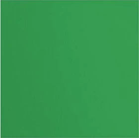 Vaessen Creative Tonkarton, 305x305mm, glatt, holly, 20 Blatt