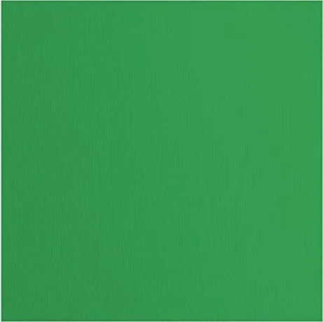 Vaessen Creative Tonkarton, 305x305mm, glatt, holly, 20 Blatt