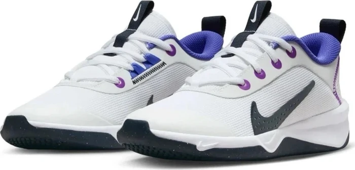 Nike Omni Multi-Court (Junior)
