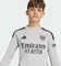adidas FC Arsenal 2026/2027 Torwarttrikot grey two (Junior) Vorschaubild