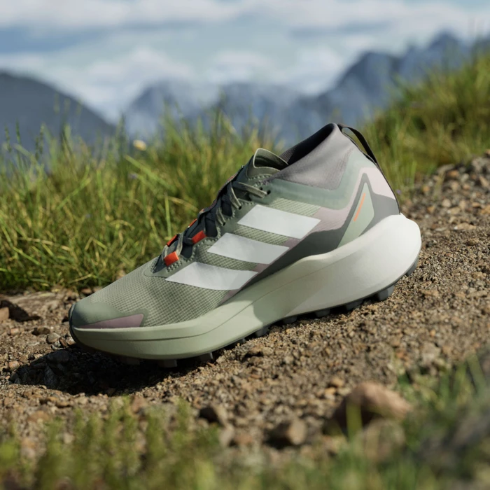adidas Terrex Agravic GTX Trail silver green/cloud white/preloved fig (Damen)