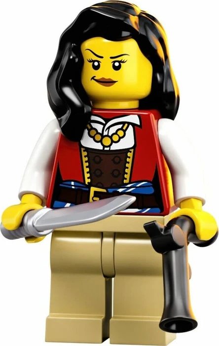 LEGO Ideas - Piraten der Barracuda-Bucht